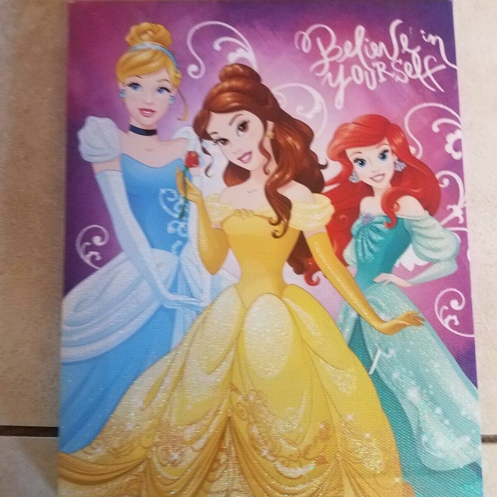 NWT Disney Princess Canvas Print Believe